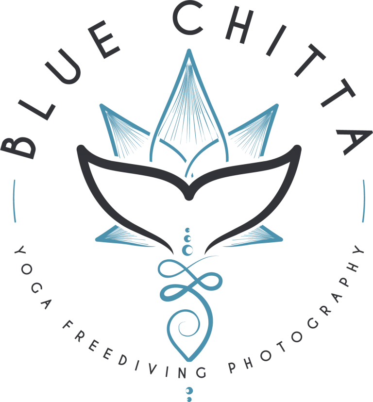 Blue Chitta logo