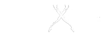Freedive Dahab logo