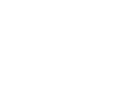 Freediving Explorations logo