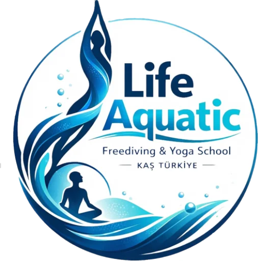 Life Aquatic Kas logo