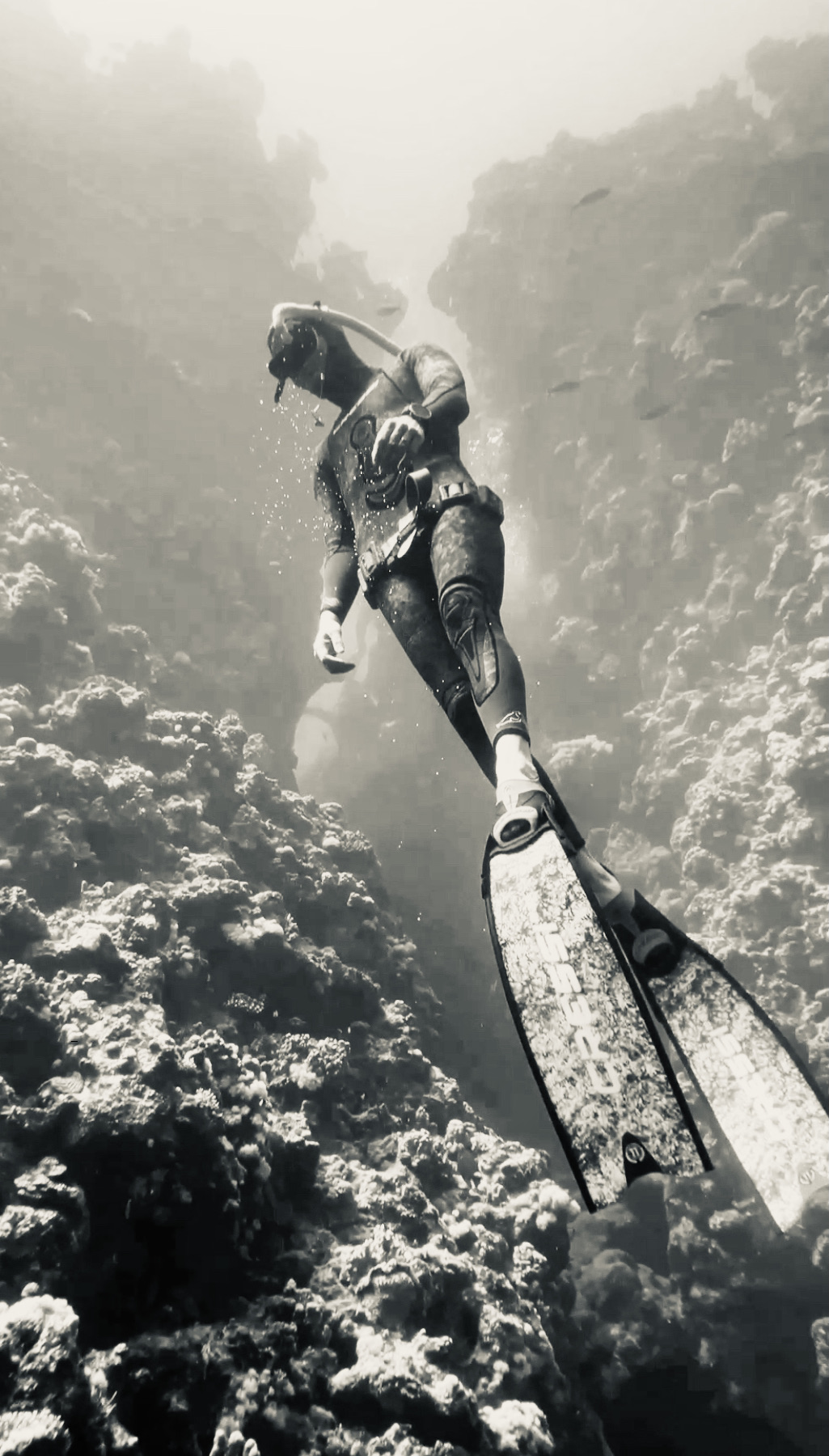 Spandan Freediving gallery photo 2